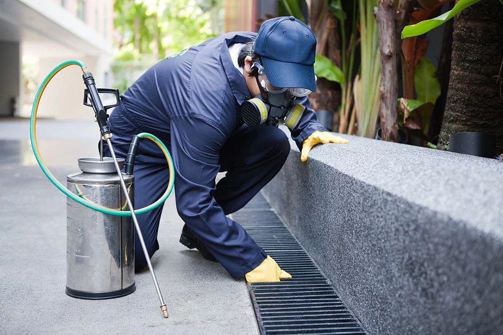 Top Things About Commercial Pest Control in Pennsylvania